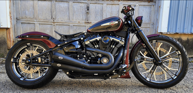 Harley Davidson Softail paint correction and detail Kane County IL